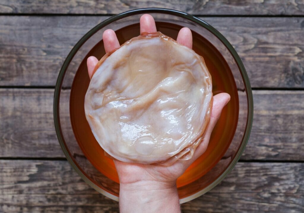 kombucha with vitamins image of a symbiotic culture of bacteria and yeast