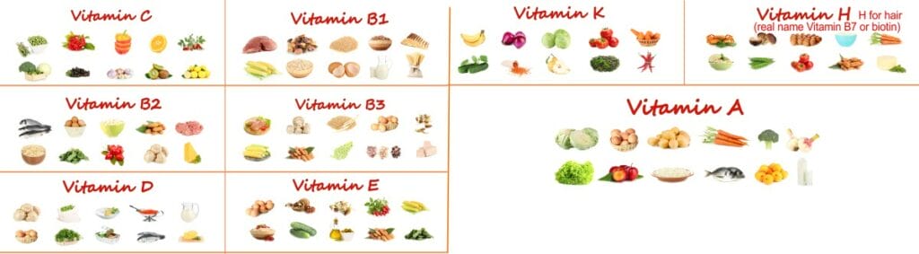 Good food sources for various vitamins