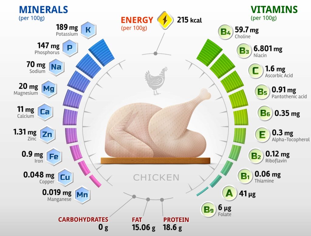 Infographics about nutrients in chicken meat. Qualitative vector illustration about chicken, vitamins, poultry meat, health food, nutrients, diet, etc